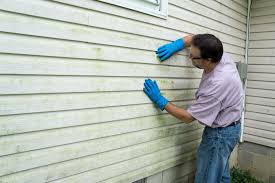 Best Custom Siding Design  in Fremont, MI